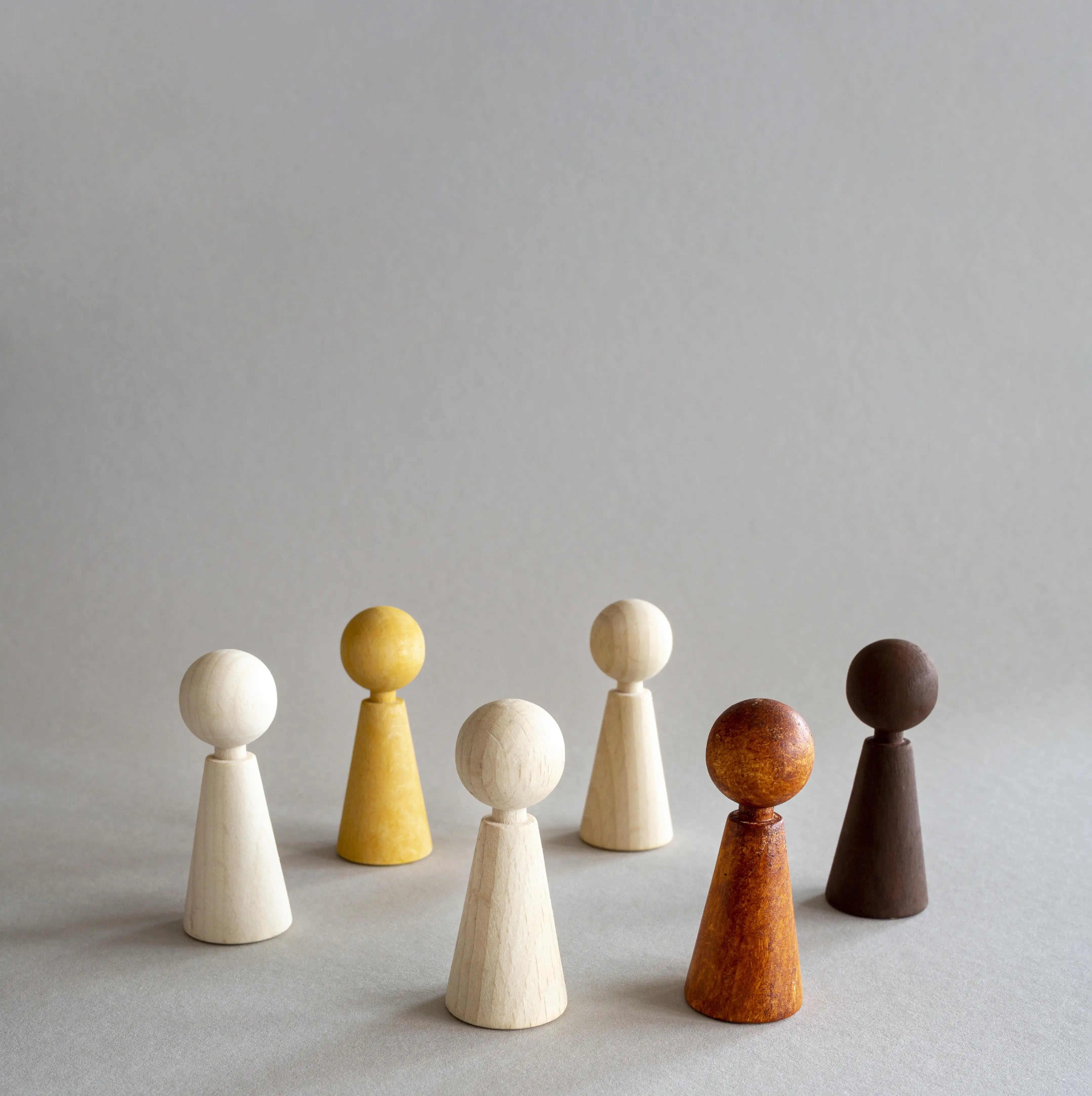 Diversity Inclusion